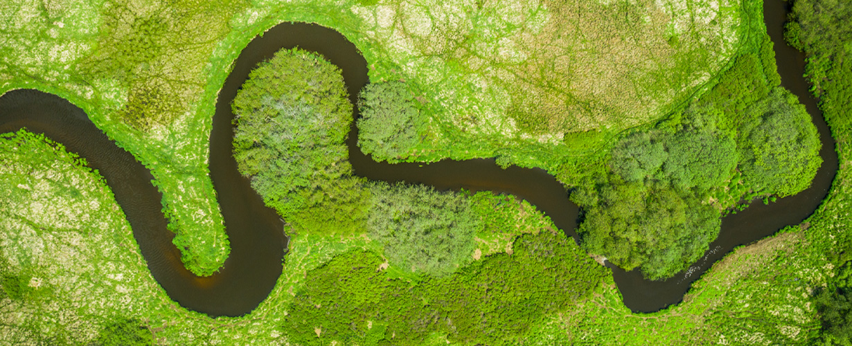 Wir unterstützen verschiedene Umweltprojekte.