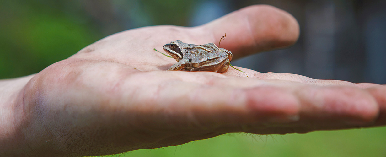 Wir unterstützen verschiedene Umweltprojekte.